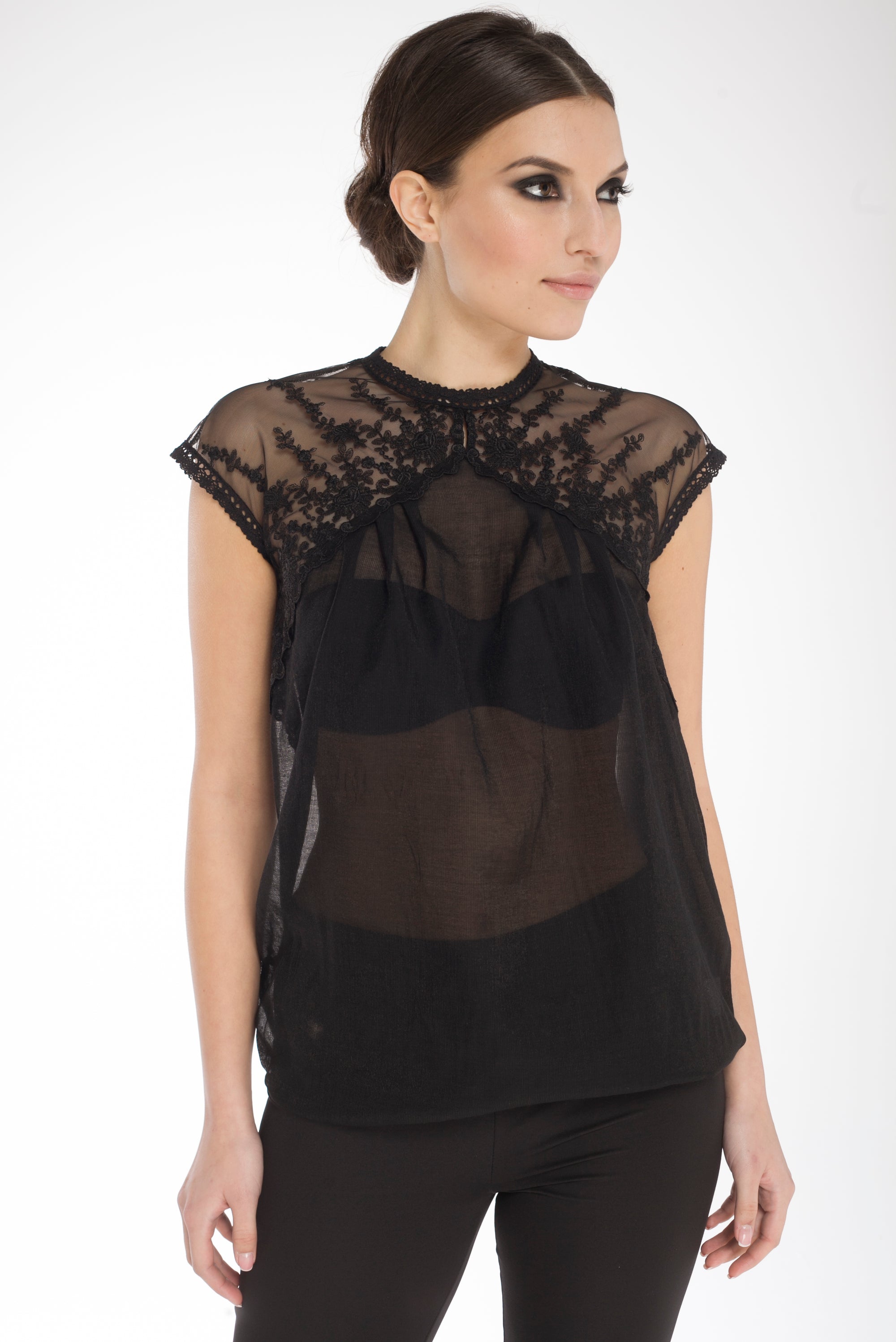 Sheer Embroidered Lace Blouse